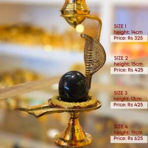 Shaligram Shivalinga